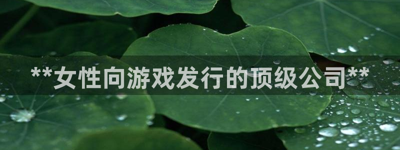 门徒平台注册登陆不上：**女性向游戏发行的顶级公司**