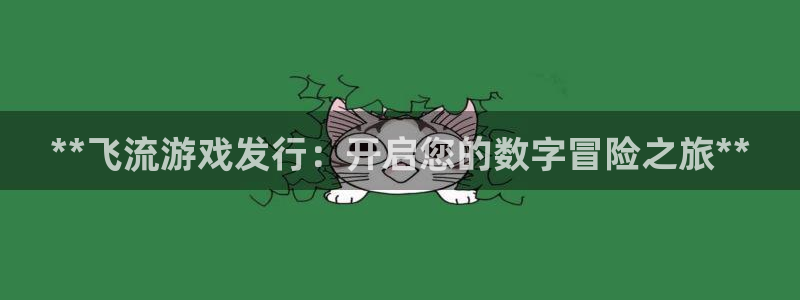 门徒平台登录步骤：**飞流游戏发行：开启您的数字冒险之旅**