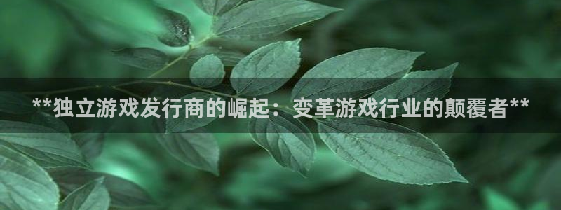 门徒娱乐是干嘛：**独立游戏发行商的崛起：变革游戏行业的颠覆者**
