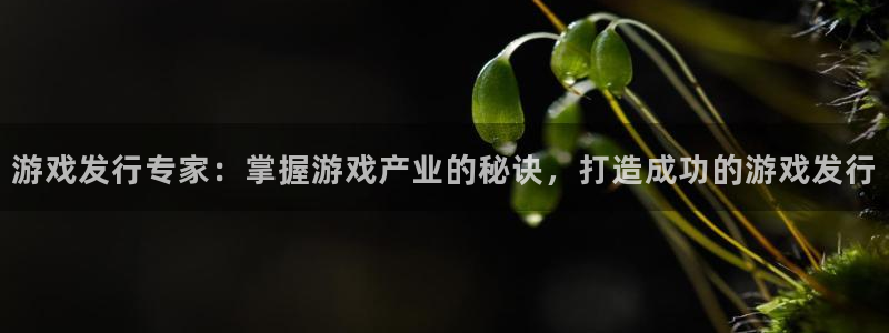 门徒平台是什么：游戏发行专家：掌握游戏产业的秘诀，打造成功的游戏发行