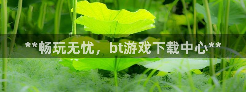 门徒娱乐公司介绍：**畅玩无忧，bt游戏下载中心**