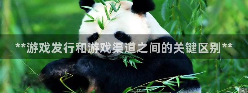 门徒平台主管代理