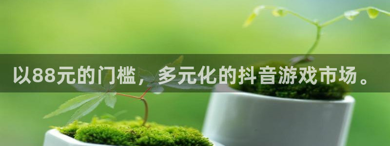 门徒平台注册中心在哪：以88元的门槛，多元化的抖音游戏市场。