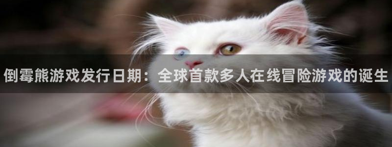 门徒娱乐是正规公司吗：倒霉熊游戏发行日期：全球首款多人在线冒险游戏的诞生