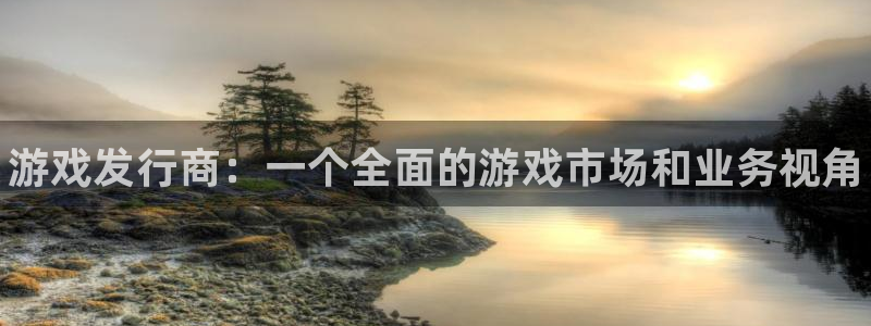 门徒娱乐集团：游戏发行商：一个全面的游戏市场和业务视角