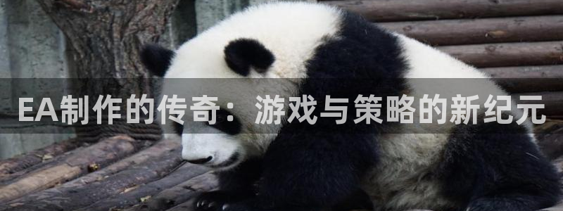 门徒娱乐app代理加盟多少钱：EA制作的传奇：游戏与策略的新纪元